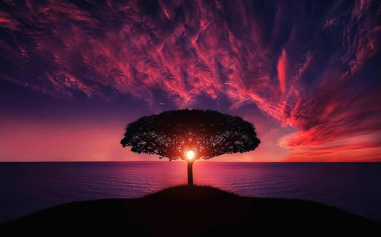 Photo de SARL Mansuy